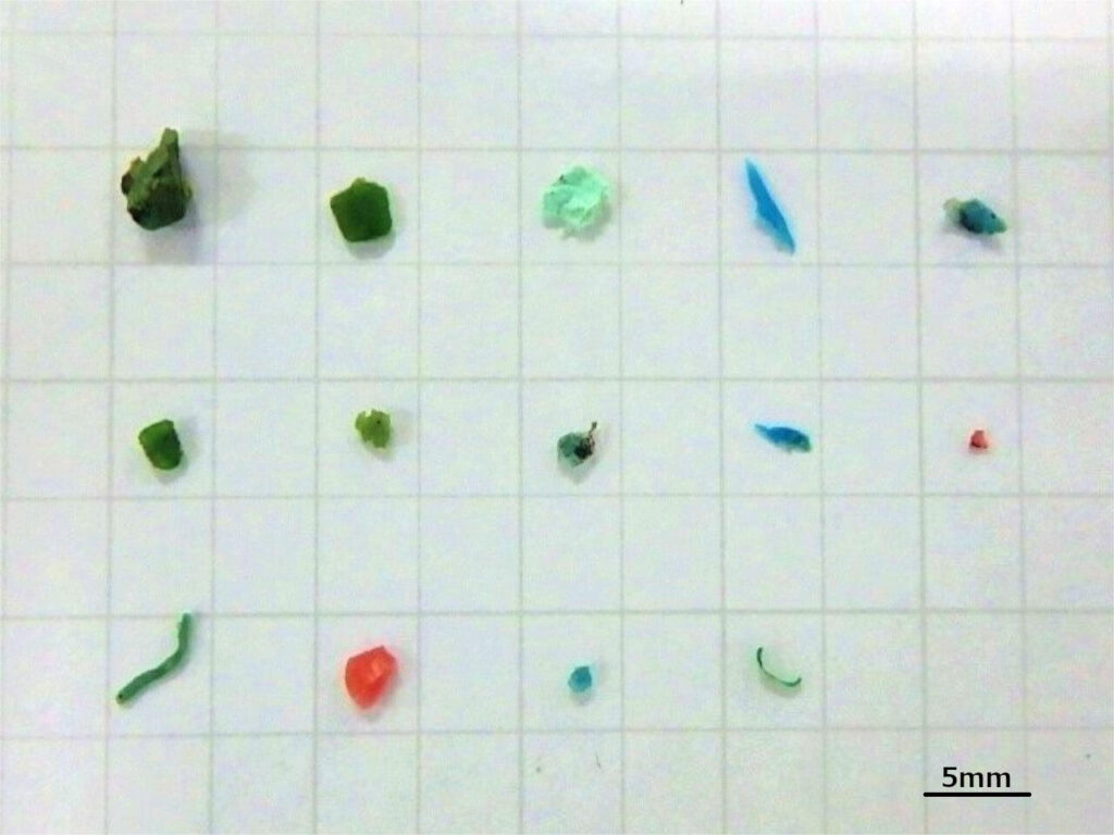 マイクロプラスチック分布域調査