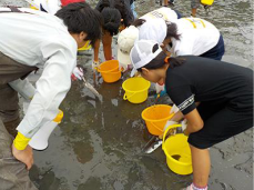 海辺の環境学習 