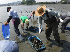 カブトガニの生息場の保全