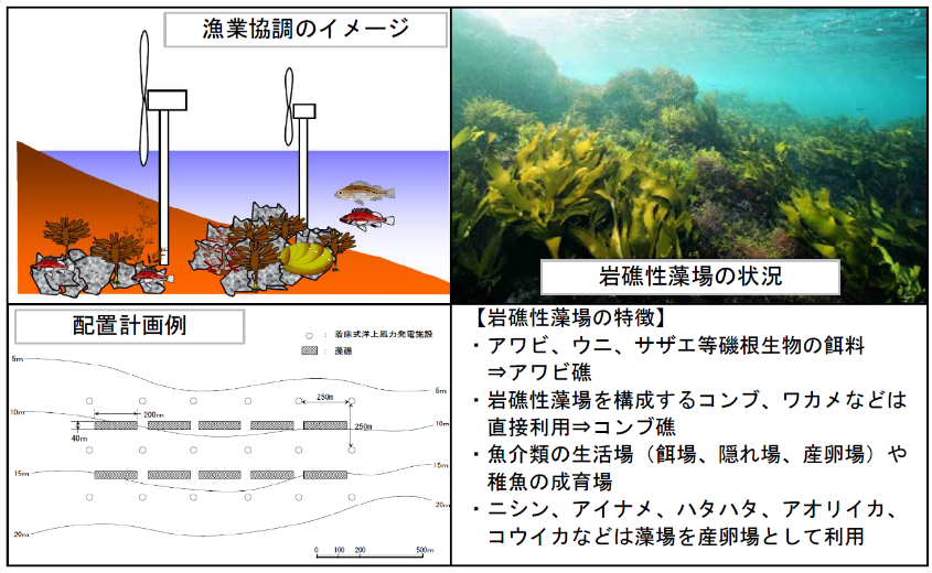 漁業協調【洋上風力発電等】