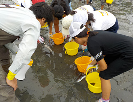 海辺の環境学習_自然生物観察会