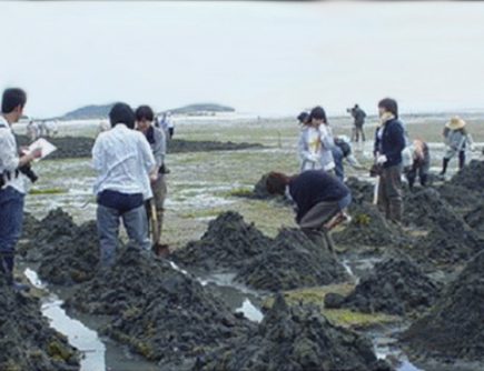 市民との協働による里海づくり