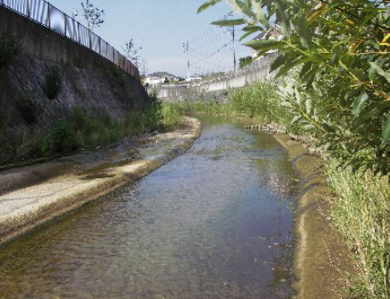 水質の分析