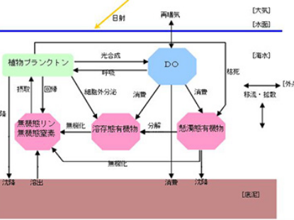 水質予測